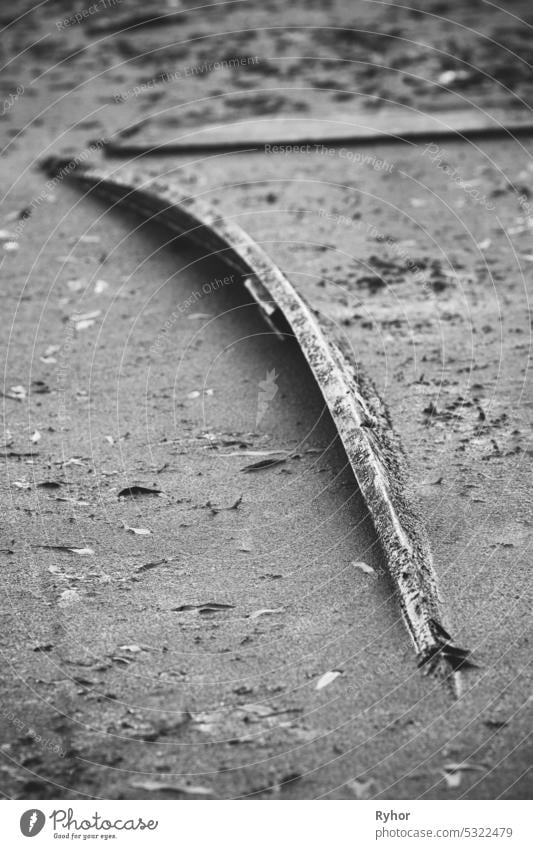 Old Wooden Abandoned Rowing Boat Flooded. Forgotten Things Concept. Hopelessness, Loss Of Normalcy. Boat Never Float Again. Depressive Mood Black White Colors. Vertical Photo