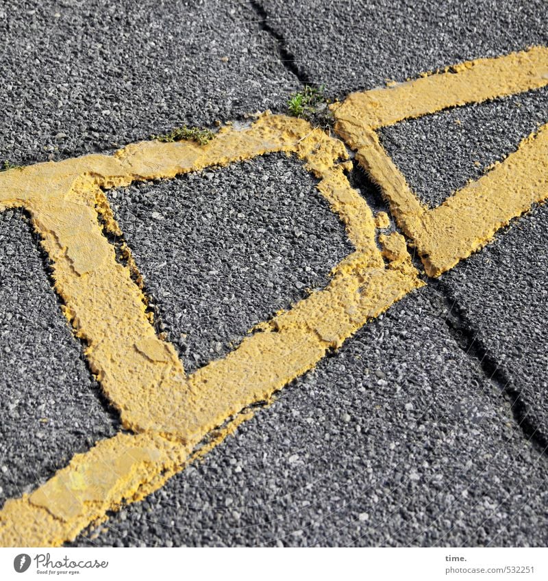 Bringing bread rolls with particula, way there Transport Traffic infrastructure Street Lanes & trails Concrete Concrete slab Concrete floor Crack & Rip & Tear