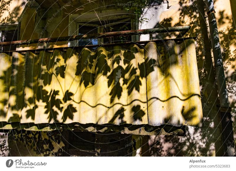 Lost Land Love II shady place Balcony Shadow Shadow play Structures and shapes Light Silhouette Contrast Facade Wall (building) Sunlight Light and shadow