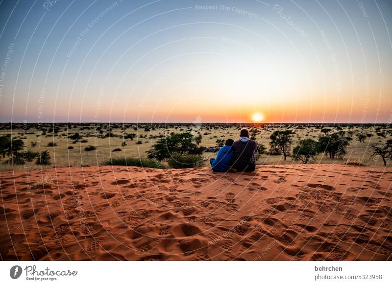 Dreaming wide magical Sky Desert especially Gorgeous Vacation & Travel Nature Adventure Loneliness Landscape Colour photo travel Wanderlust Africa