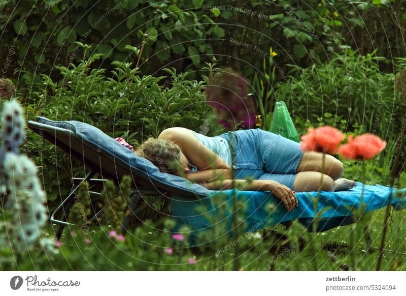 Sleeping in the garden blossom Blossom Relaxation awakening holidays spring Spring Garden Hedge allotment Garden allotments bud Night Plant tranquillity