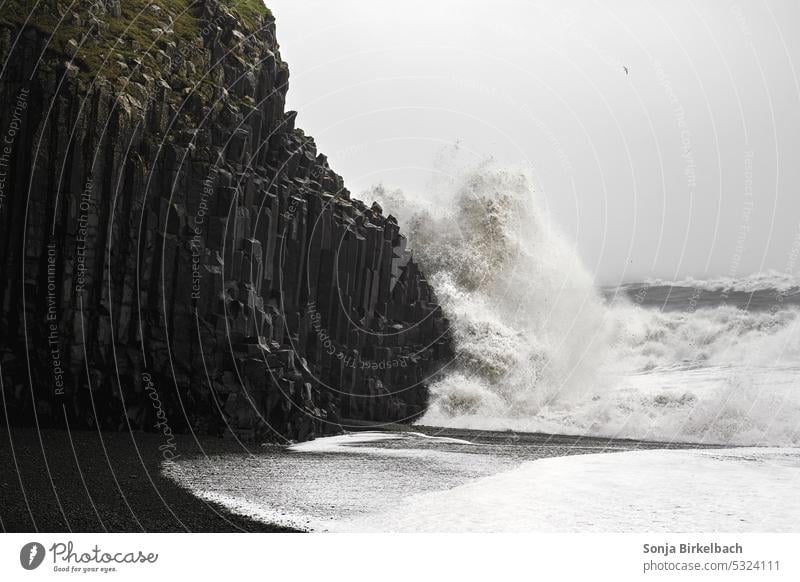 Stormy times at black sand beach iceland basalt rocks waves storm outdoor beautiful iceland trip vik i myrdal south iceland weather stormy sea ocean stones