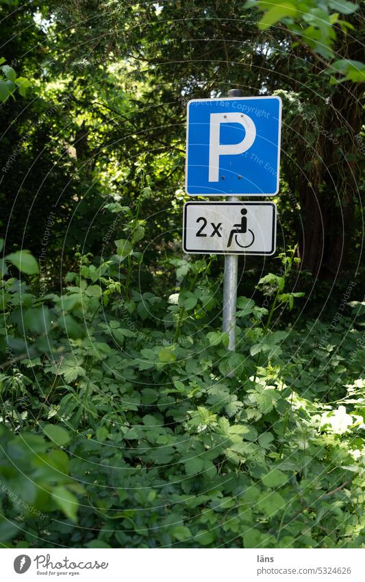 Lost Land Love ll handicapped disabled parking space sign Signs and labeling Deserted overgrown Parking Bans Parking lot Road sign Out of service Signage