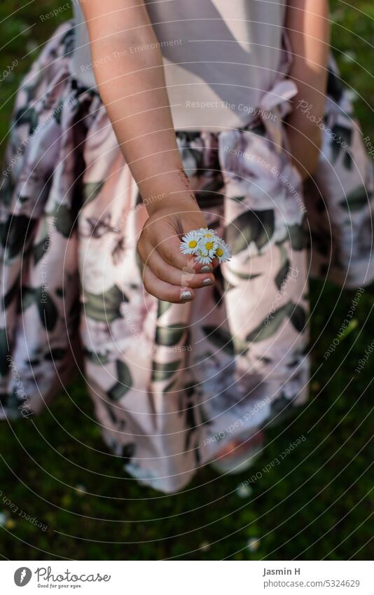 Daisies in children hands Flower Nature Plant Colour photo Meadow White Blossom Daisy Spring Exterior shot Hand Shallow depth of field Day Blossoming Fingers