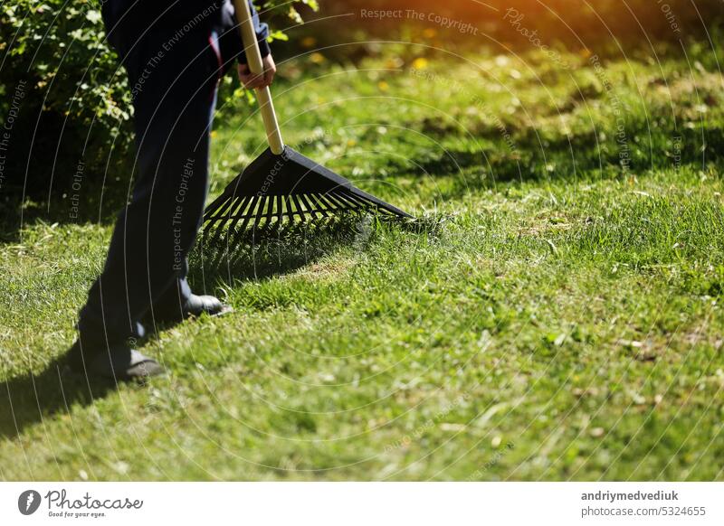 Unrecognised man is raking leaves with a plastic black rake. Cleaning of garbage and dry grass from the lawn with a fan rake. Concept of preparing garden for winter, spring. Taking care of garden