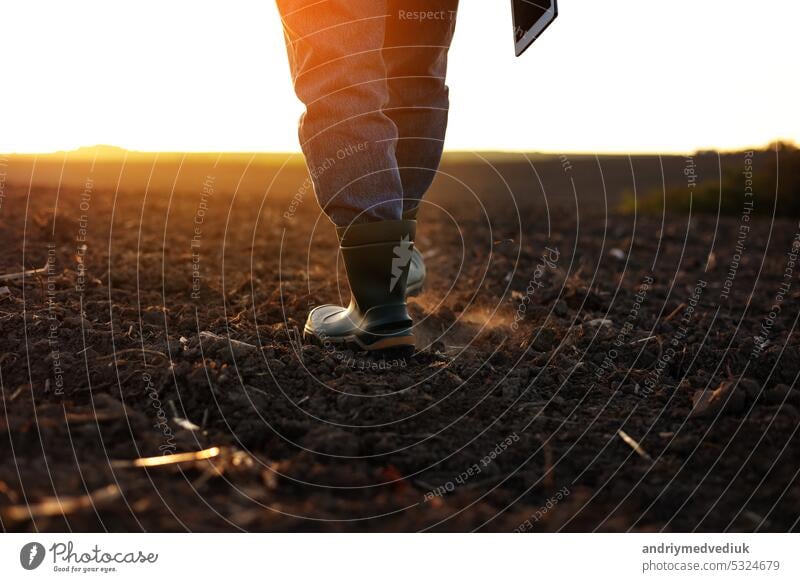 Agriculture. Cropped shot of back view businessman farmer in rubber boots walks along plowed field with digital tablet. Agronomist checking and analyses fertile soil on sunrise. Agribusiness.