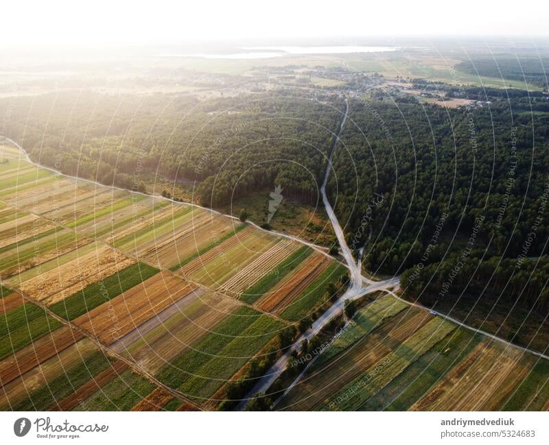 Countryside landscape. Aerial view of cultivated green fields, agricultural parcels geometric shape with gold wheat, forest, country roads and village. Concept of agrarian industry in Ukraine.