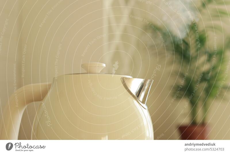 Close up of boiling water and steam comes out of white modern electric kettle. Teapot for hot drinks against background of houseplant in kitchen. Concept of coffee or tea break. Healthy lifestyle