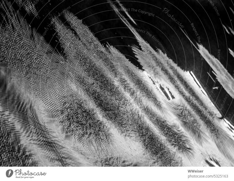 Silvery shimmering structures on dark background, oblique and abstract textures Surface Water Pattern artistic Puddle reflect Glimmer shine Dark moonlight Night