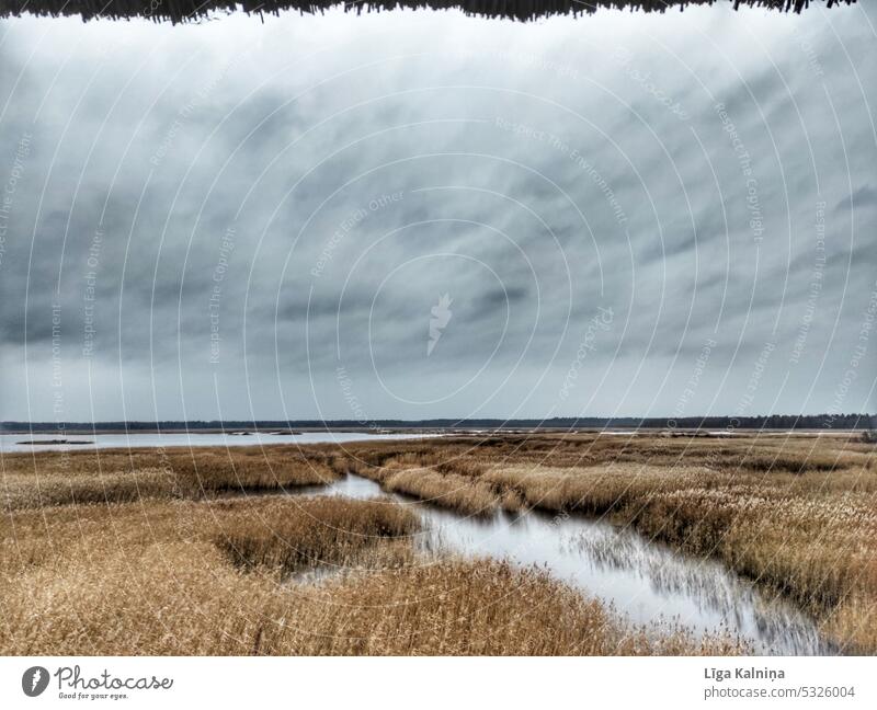 Cloudy grey weather over lake landscape. Moody landscape scenery Lake Nature water Weather Colour photo Landscape sky Exterior shot Mountain Sky Clouds mountain