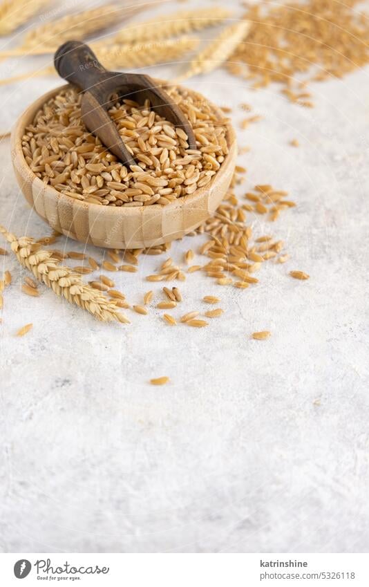 Bowl of raw dry rye grain with a wooden spoon on white table close up, copy space Winter Rye scoop above diet dried food healthy ingredient natural organic pile