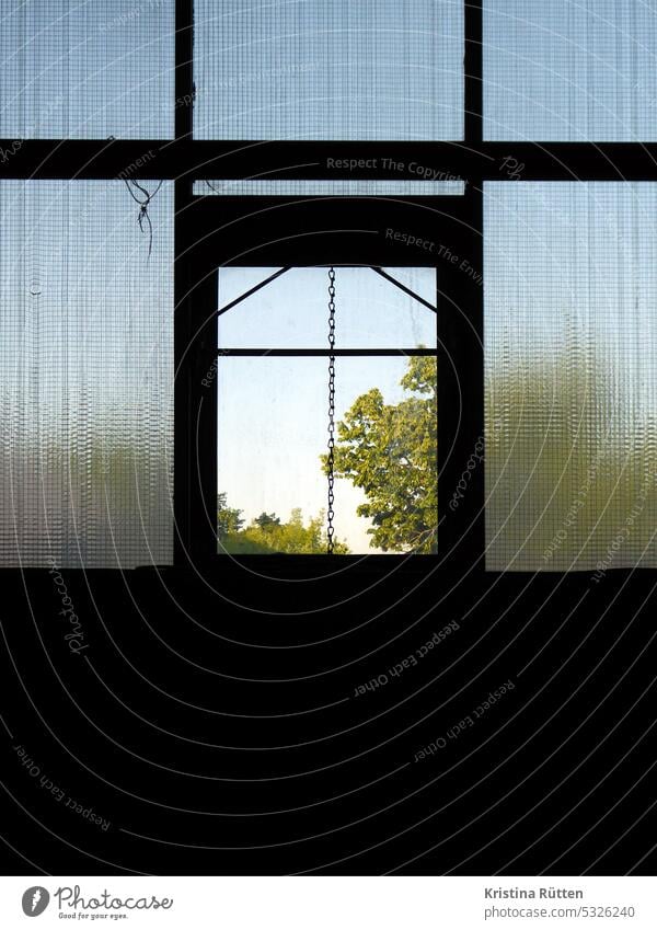 open window hatch with view outside Window window opening Open Skylight textured glass Vantage point Looking trees Light Air Ventilate inside Bright Dark Loft