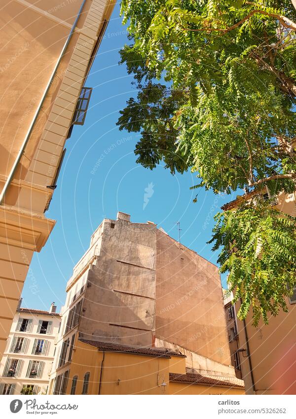 In the alleys of Toulon II France Southern France Old town Mediterranean Building Facade Deserted Architecture Town Window Historic Vacation & Travel Tourism