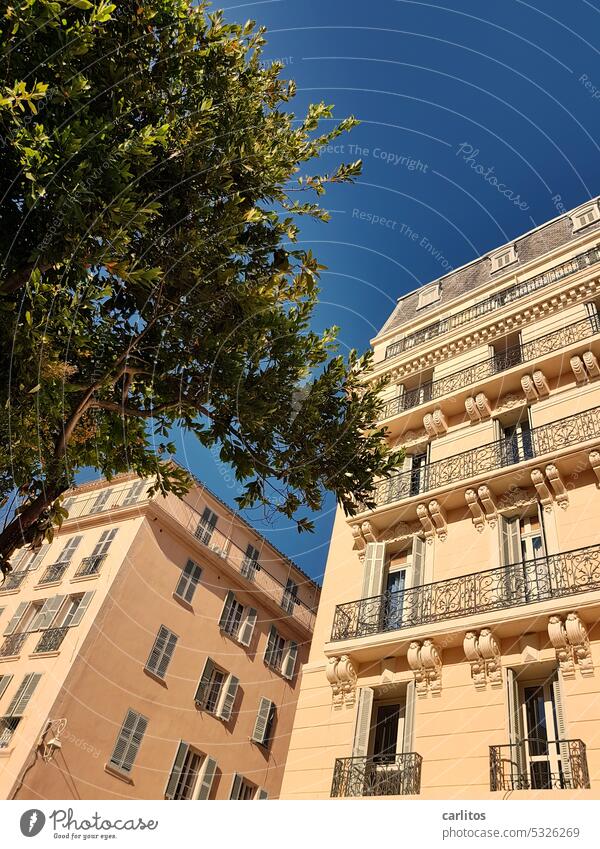 In the alleys of Toulon VI France Southern France Old town Mediterranean Building Facade Deserted Architecture Town Window Historic Vacation & Travel Tourism