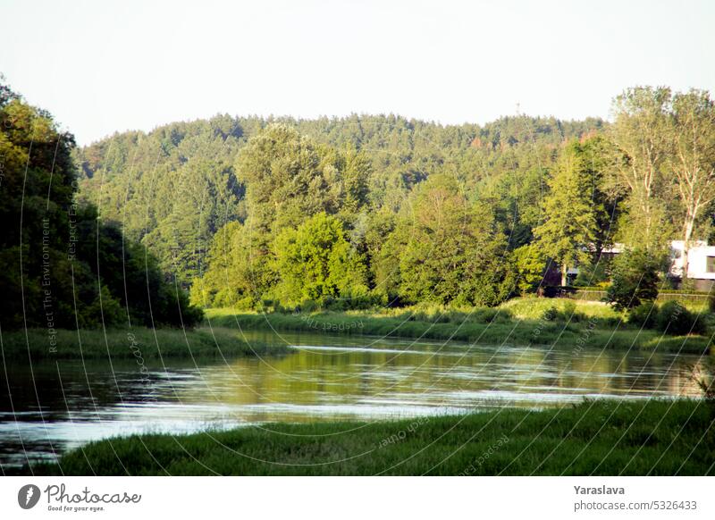 photo green forest and the river water nature tree background outdoor summer scenic grass sky beautiful park natural landscape lake environment colours