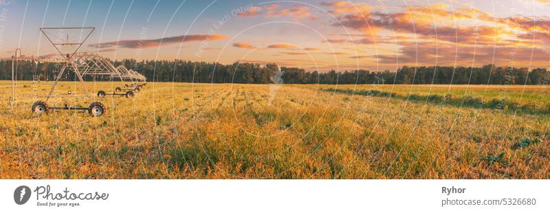 Panoramic View Of Sunset Sky Above Irrigation Pivot. Irrigation Machine At Agricultural Field With Young Sprouts, Green Plants On Black Soil. Farming Sprinklers In Field Irrigation, Watering Of Crops