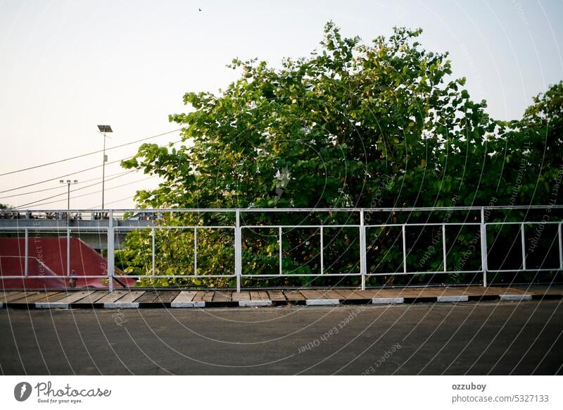 old wooden footbridge over the city park tree nature plant green landscape outdoor travel summer background path natural side environment garden walk way