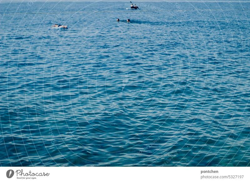 two swimmers, two paddlers and one human on an air mattress in the sea Air mattress Ocean Water be afloat Paddling Paddle Vacation & Travel Relaxation