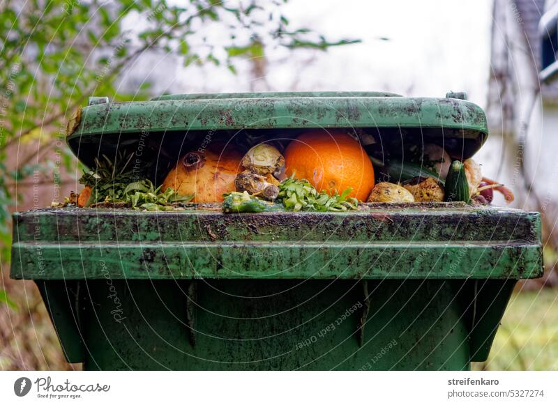 View into the organic waste garbage can Biogradable waste Organic waste bin dustbin fruit Vegetable Spoiled abundance Waste food products Inedible