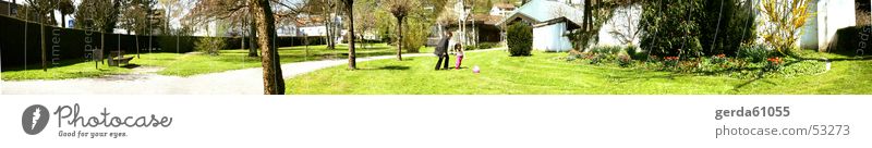 Panorama Park Clouds Meadow Grass Green Multicoloured Panorama (View) Wide angle Tree Playing Sky Lime tree Lanes & trails Ball Joy Tread Large