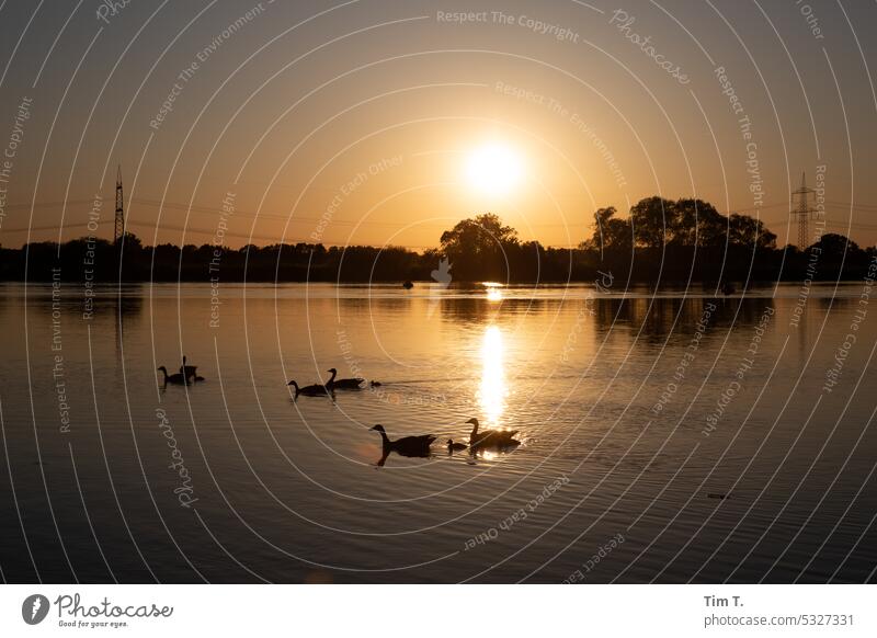 Sunset in Ketzin sunset Lake Havel Brandenburg power supply Colour photo Brandenburg an der Havel Exterior shot Deserted