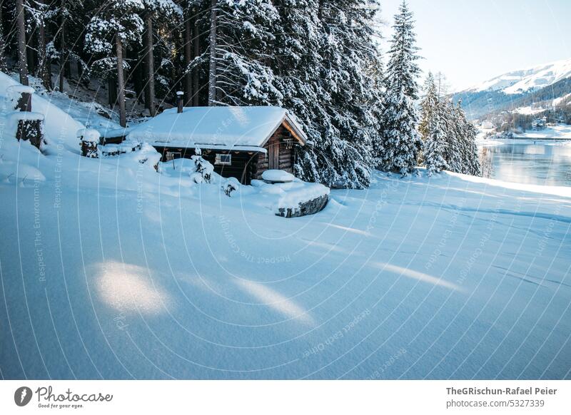 Chalet in the snow on the lake in winter Snow Winter Switzerland Tourism Lake Cold Beautiful weather Sunlight Forest snowy cot Landscape White Tree Mountain