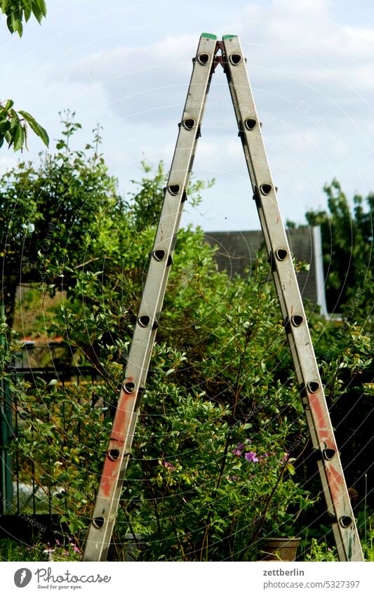 Stepladder in garden Branch Tree blossom Blossom holidays spring Spring spring awakening Garden Hedge Sky allotment Garden allotments Ladder Deserted