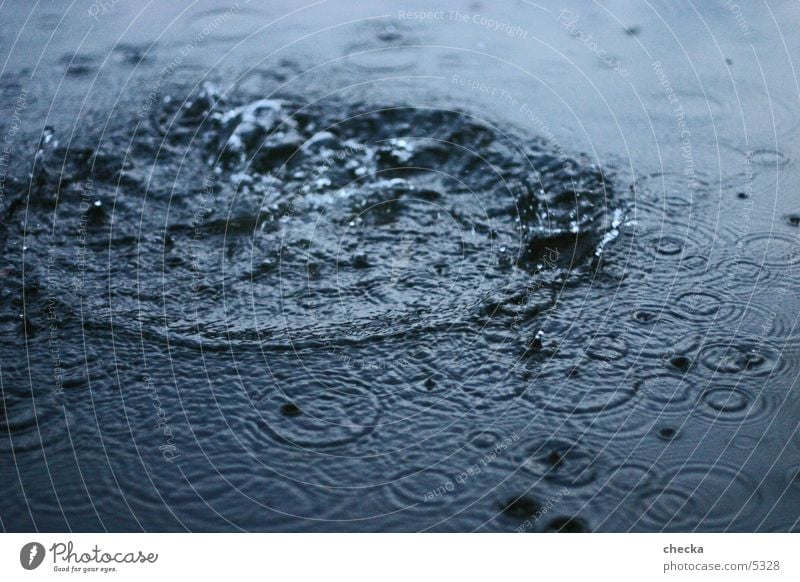 Splash! Lake Waves Corona Water