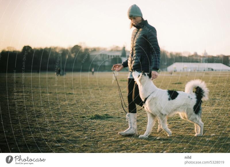 Dog training Team woman with dog go out with the dog Freedom Friendship Movement Pet Joy Together Colour photo Love of animals Exterior shot Young woman