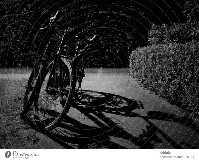 Two bikes parked on sidewalk at night b/w Bicycle bicycles Parking Night Dark Street lighting streetlamp Shadow off Footpath walkway slabs Light Hedge Beech