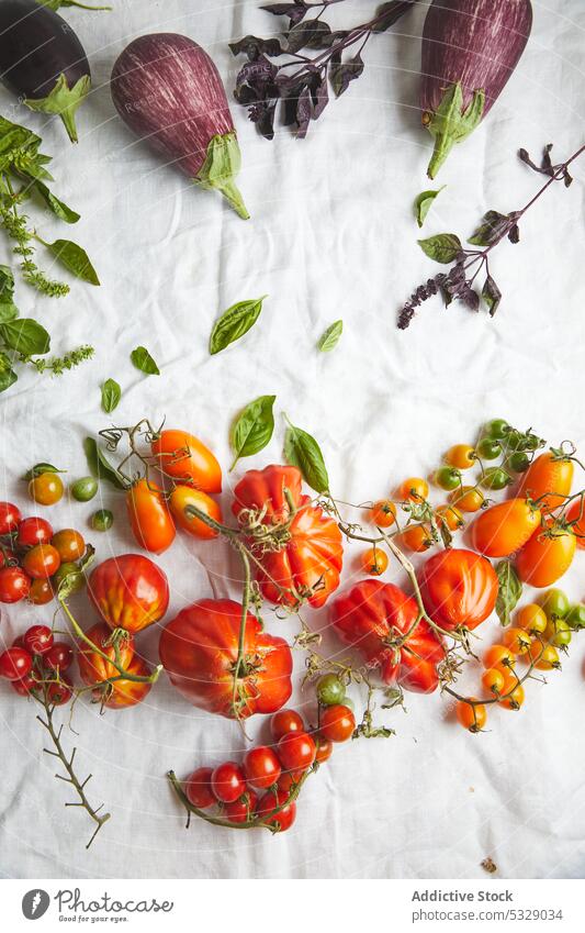 Fresh ripe assorted vegetables over white fabric on table gradient color bright fresh vivid raw food collection healthy healthy food vitamin organic grocery