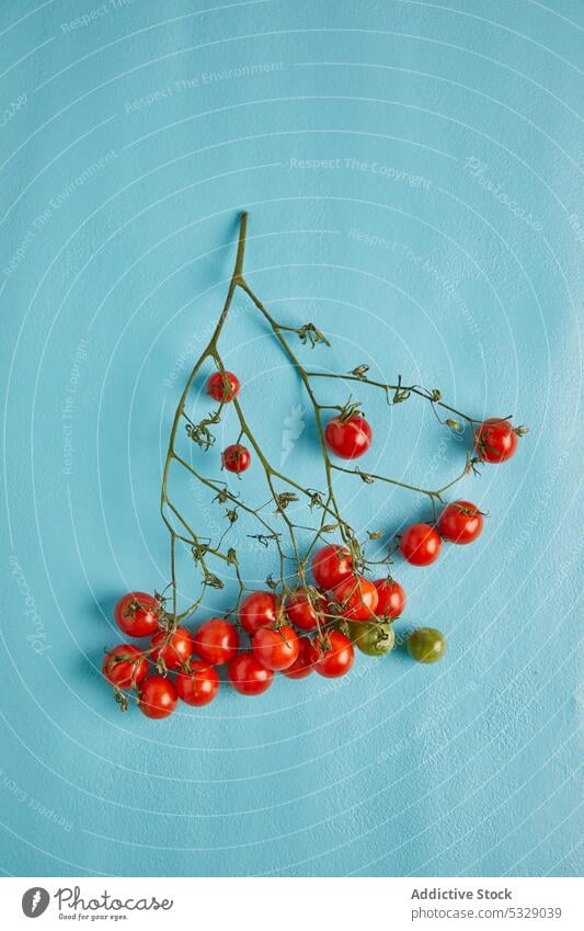 Assorted fresh cherry tomatoes on green surface unripe bunch raw natural organic vegetable harvest food healthy tasty ingredient vitamin agriculture product