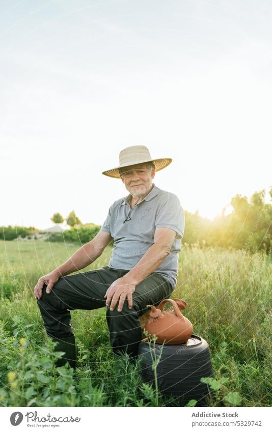 Smiling elderly male farmer sitting in meadow at sunset man countryside rural nature positive agriculture smile plantation senior log grassy sundown environment