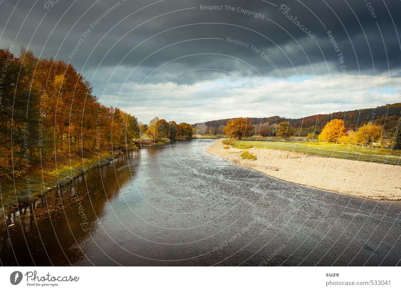 Mulde valley Vacation & Travel Environment Nature Landscape Plant Elements Water Sky Clouds Storm clouds Autumn Weather Tree Meadow River bank Authentic