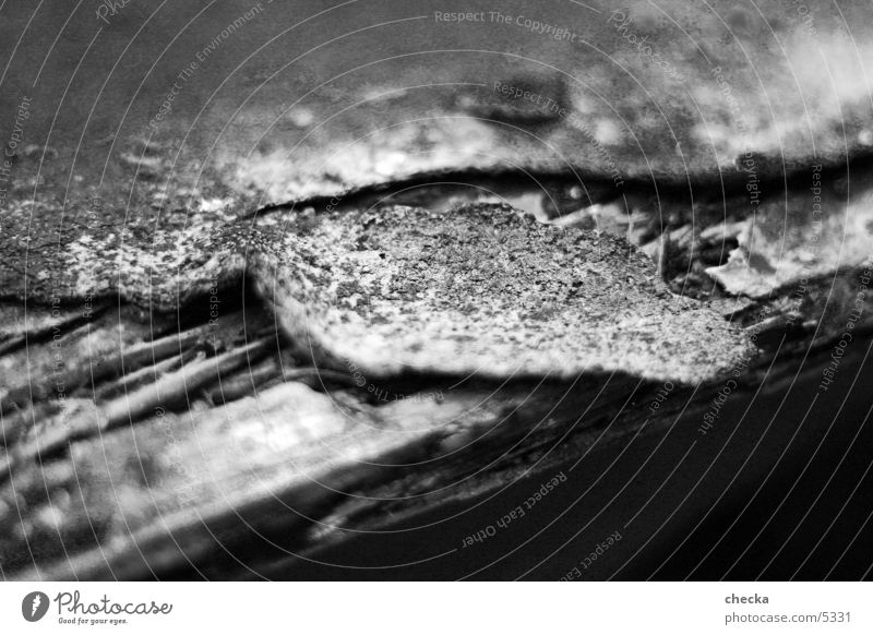 roofing felt Tar paper Macro (Extreme close-up) Close-up Black & white photo Dirty Putrefy Old