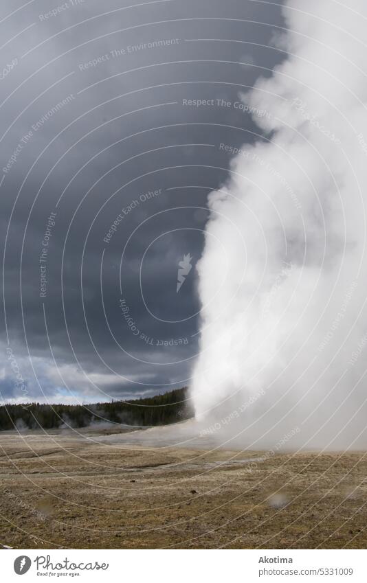 Yellow Stone National Park Old Faithful Erupting Hot springs Wyoming USA Landmark Destination vacation Fog Exotic Heaven Trip Wild Tourism Vacation & Travel