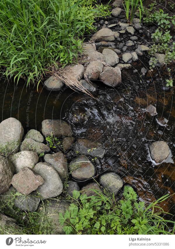 River Street landscape river stream Nature Water Americas USA Landscape Page Mountain Canyon latvia green grass