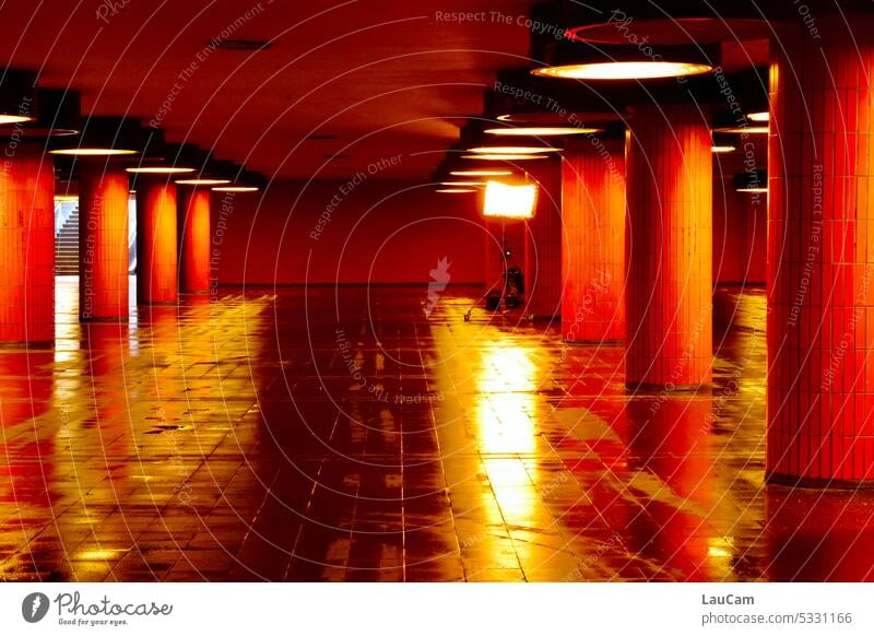 Spotlight on - Catwalk underground Underpass clearer Floodlight Wet reflection columns Light Water Lighting Orange Deserted Reflection Dark Lamp Messedamm