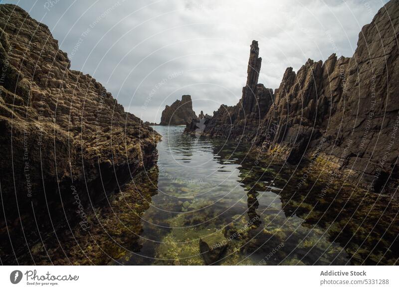 Rocky reef formations with sea water in autumn forest picturesque mountain rocky nature landscape tree environment scenery rough stone scenic sun ocean coast