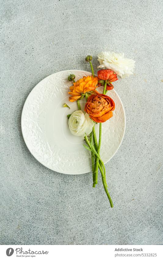 Table setting with seasonal flowers on concrete background floral ranunculus beautiful cutlery dark daytime dinner dinnerware eat eating festive food holiday