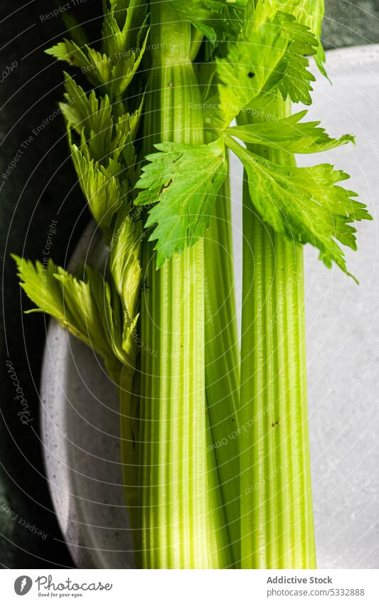 Fresh raw celery vegetable food fresh leaves background concrete cook cooking diet eat eating fasting healthy herb ingredient keto meal organic paleo salad