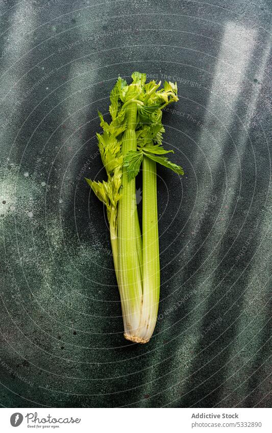 Fresh raw celery vegetable food fresh leaves background concrete cook cooking diet eat eating fasting healthy herb ingredient keto meal organic paleo salad