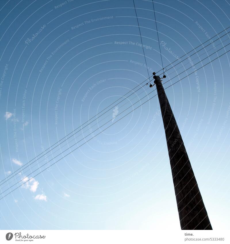 Frog Perspective | World on Wire stream transmission line Electricity pylon Sky Clouds Back-light Silhouette Cable communication Transport ELECTRICITY