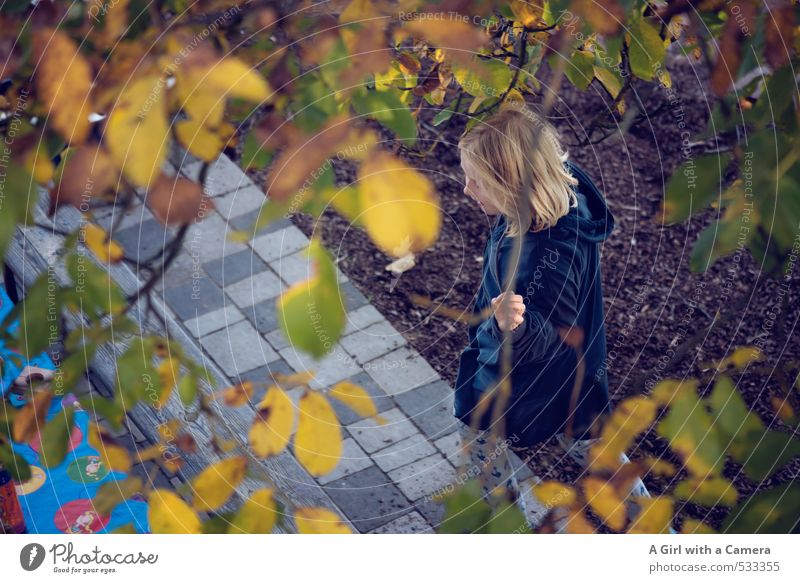 through Human being Feminine Girl Infancy 1 3 - 8 years Child Autumn Leaf Playing Garden Terrace Blonde Under Hide Action Nature Joy Multicoloured Exterior shot