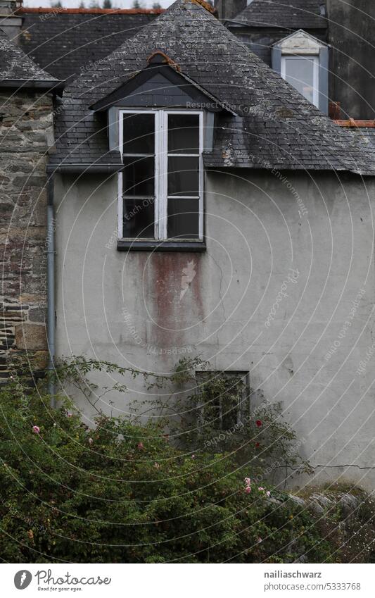 façade Facade facade climber Old Water by the water houses Vantage point travel voyage Tourism Discover Sadness dilapidated back wall Lifestyle Set Small Town