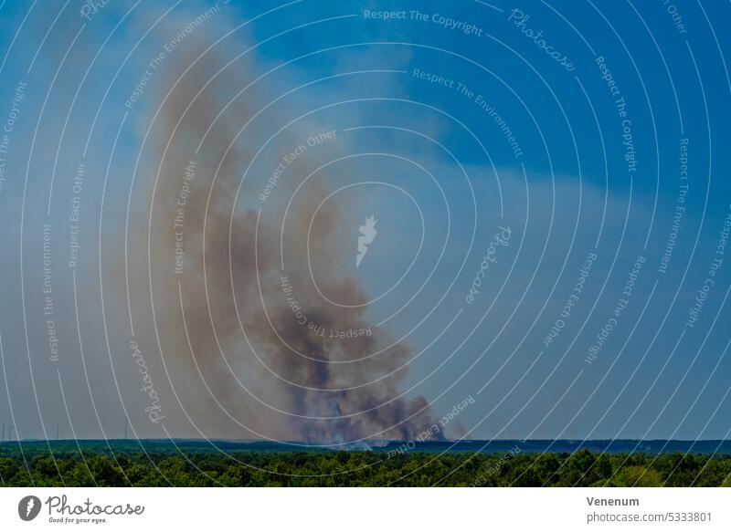 Between Jüterbog and Felgentreu , June 4 2023 , Germany,large forest fire for days on the former military site, which is now a nature reserve, 150 hectares have already burned down in the last few days