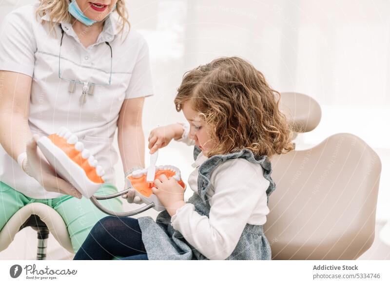 Dentist showing teeth to little girl in dental clinic dentist toothbrush learn patient teach jaw stomatology hygiene model dentistry oral orthodontic woman care