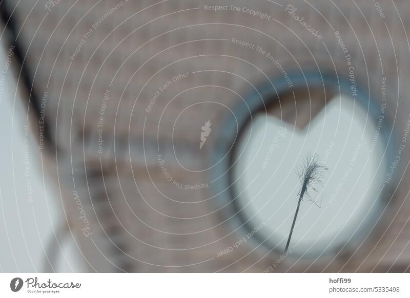 The pricke in focus - the view through the porthole of a beach chair Pricke prickle Beach chair Ocean Sand Sky Baltic Sea Sun coast North Sea Water