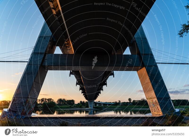 Evening under the bridge over the Elbe in Schönebeck Elbauenbrücke Car bridge Phylons Phylon Bridge Cable-stayed bridge A-Phylon Concrete Transport Street