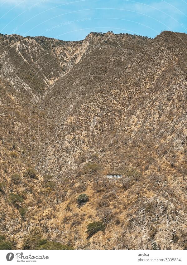 Steppe in Mexico with lonely white house Lonely Deserted House (Residential Structure) The White House on one's own mountains Hill grasslands Grass